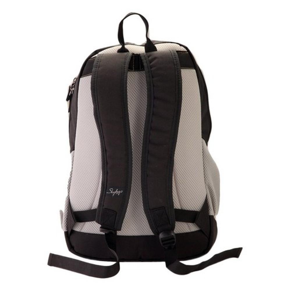 Skybags Arthur Black Laptop Compatible Backpack
